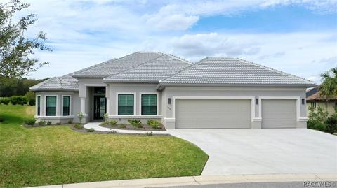 1095 W Pointer Loop, Hernando, FL 34442 photo 1
