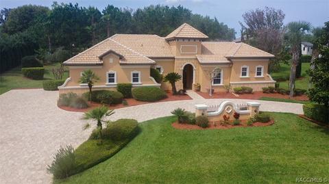 401 W Fenway Dr, Hernando, FL 34442 photo 7