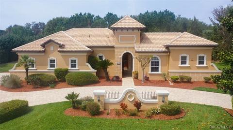 401 W Fenway Dr, Hernando, FL 34442 photo 1
