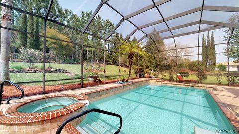 401 W Fenway Dr, Hernando, FL 34442 photo 45