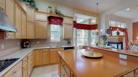 401 W Fenway Dr, Hernando, FL 34442 photo 17