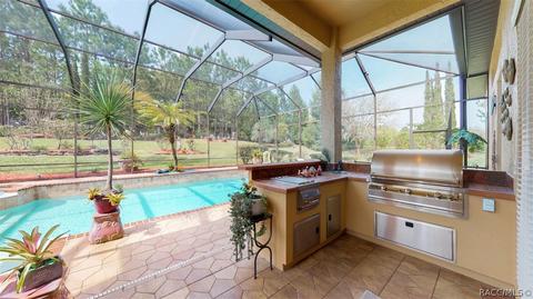 401 W Fenway Dr, Hernando, FL 34442 photo 42