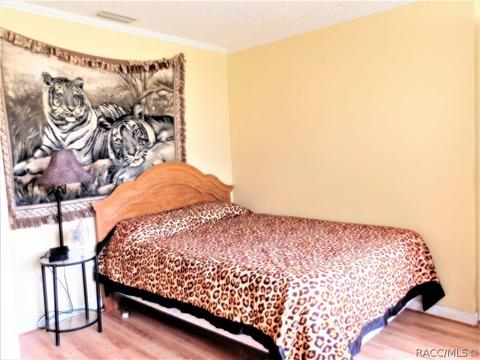 3930 E Laguna Loop, Hernando, FL 34442 photo 13