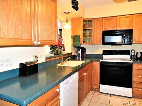 3930 E Laguna Loop, Hernando, FL 34442 photo 4