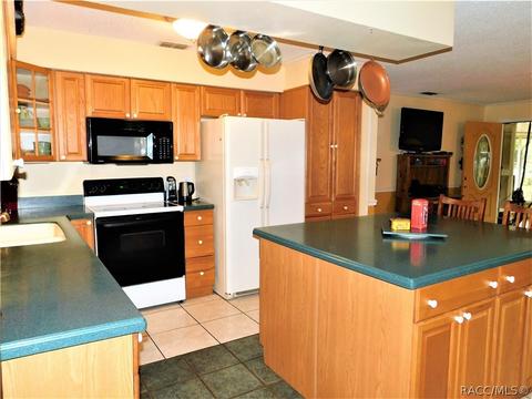3930 E Laguna Loop, Hernando, FL 34442 photo 6