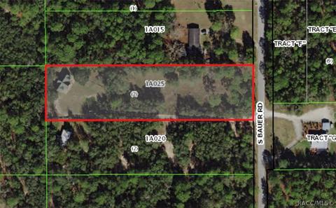 80 S Bauer Rd, Lecanto, FL 34461 photo 3