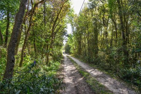 80 S Bauer Rd, Lecanto, FL 34461 photo 21