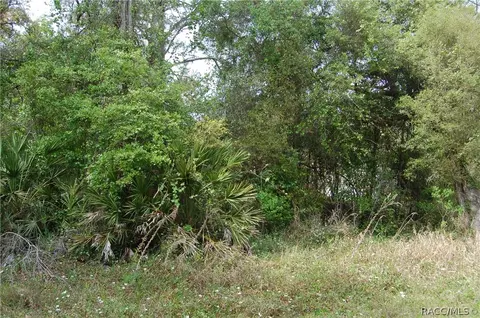 7832 N Brush Ter, Hernando, FL 34442 photo 1