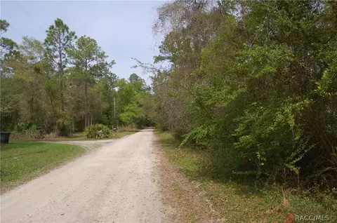 7832 N Brush Ter, Hernando, FL 34442 photo 6