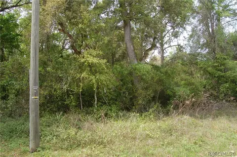 7832 N Brush Ter, Hernando, FL 34442 photo 5