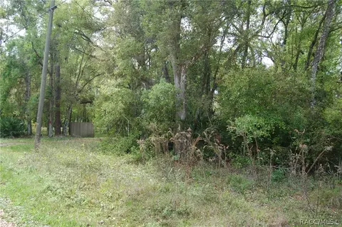 7832 N Brush Ter, Hernando, FL 34442 photo 2