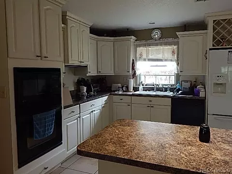 2249 N Page Ave, Hernando, FL 34442 photo 5