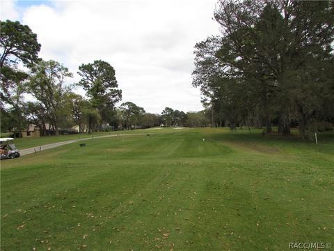 431 E Liberty St, Hernando, FL 34442 photo 38