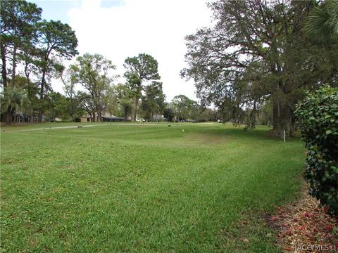 431 E Liberty St, Hernando, FL 34442 photo 39