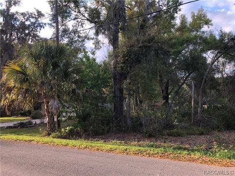 4005 E Gloria Dr, Hernando, FL 34442 photo 42
