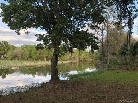 4005 E Gloria Dr, Hernando, FL 34442 photo 10