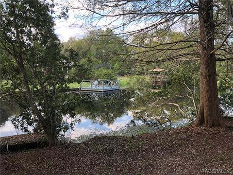 4005 E Gloria Dr, Hernando, FL 34442 photo 48