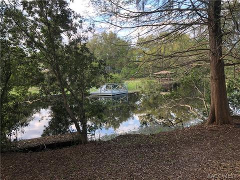 4005 E Gloria Dr, Hernando, FL 34442 photo 2