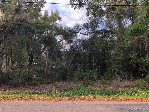 4005 E Gloria Dr, Hernando, FL 34442 photo 43