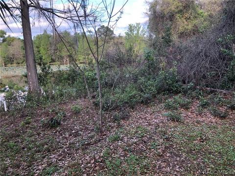 4005 E Gloria Dr, Hernando, FL 34442 photo 41
