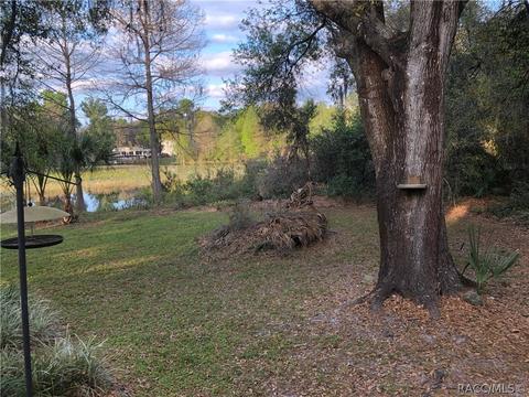 4005 E Gloria Dr, Hernando, FL 34442 photo 45