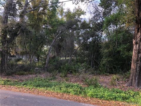 4005 E Gloria Dr, Hernando, FL 34442 photo 44