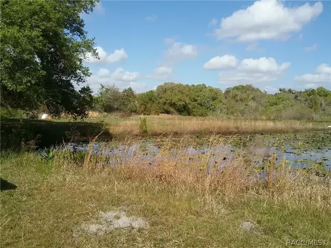 7170 E Calypso Loop, Inverness, FL 34453 photo 16