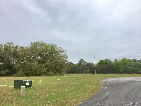 66 E Samuel Ct, Hernando, FL 34442 photo 2