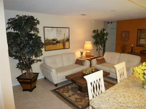 5251 N Tiger Eye Dr, Hernando, FL 34442 photo 8