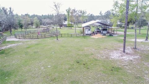11471 SE 6th St, Williston, FL 32696 photo 6
