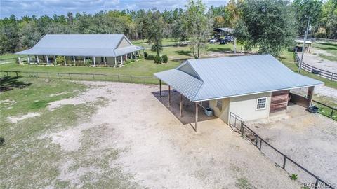11471 SE 6th St, Williston, FL 32696 photo 2