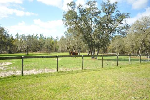 11471 SE 6th St, Williston, FL 32696 photo 11