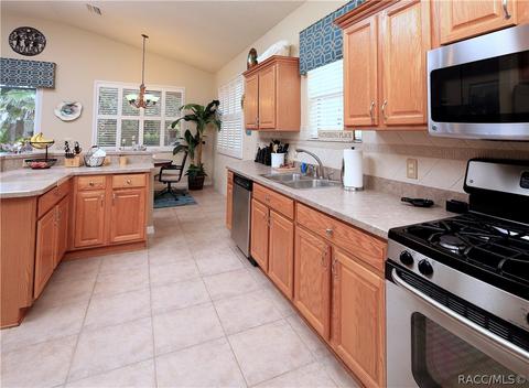 1156 W Diamond Shore Loop, Hernando, FL 34442 photo 13