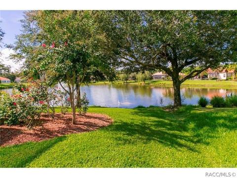 1156 W Diamond Shore Loop, Hernando, FL 34442 photo 35
