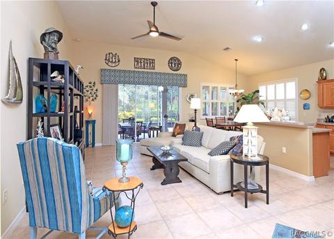 1156 W Diamond Shore Loop, Hernando, FL 34442 photo 7