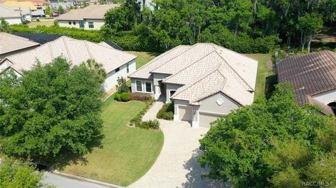1040 W Beagle Run Loop, Hernando, FL 34442 photo 41