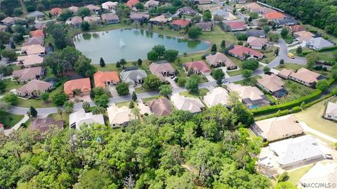 1040 W Beagle Run Loop, Hernando, FL 34442 photo 45