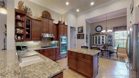 1040 W Beagle Run Loop, Hernando, FL 34442 photo 13