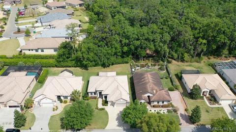 1040 W Beagle Run Loop, Hernando, FL 34442 photo 6