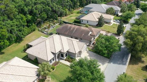 1040 W Beagle Run Loop, Hernando, FL 34442 photo 39
