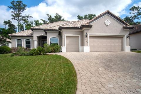 1040 W Beagle Run Loop, Hernando, FL 34442 photo 7