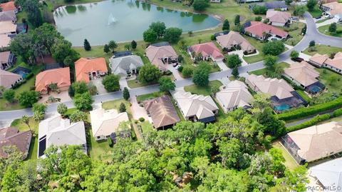 1040 W Beagle Run Loop, Hernando, FL 34442 photo 3