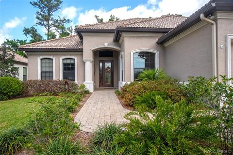 1040 W Beagle Run Loop, Hernando, FL 34442 photo 8