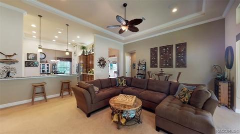 1040 W Beagle Run Loop, Hernando, FL 34442 photo 9