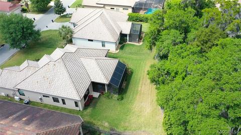 1040 W Beagle Run Loop, Hernando, FL 34442 photo 40