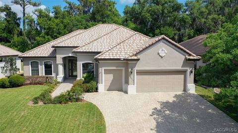 1040 W Beagle Run Loop, Hernando, FL 34442 photo 1