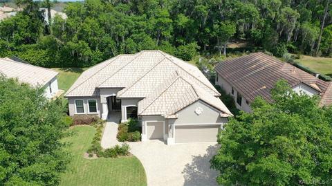 1040 W Beagle Run Loop, Hernando, FL 34442 photo 4