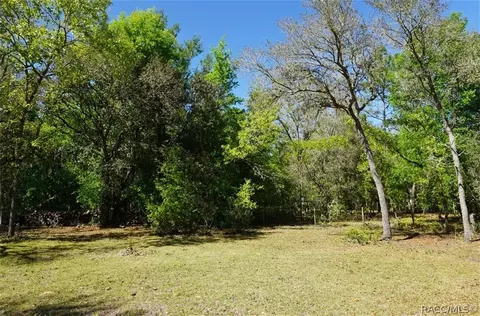 1159 E Wacker St, Hernando, FL 34442 photo 42