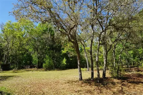 1159 E Wacker St, Hernando, FL 34442 photo 41