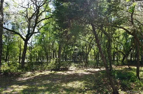 1159 E Wacker St, Hernando, FL 34442 photo 40